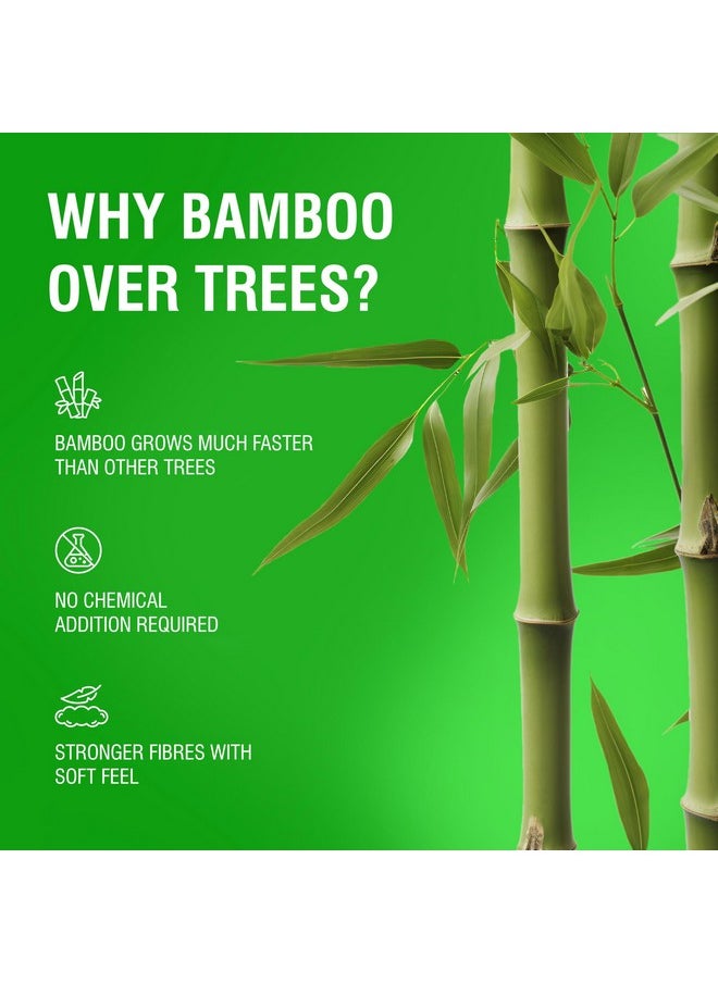 BECO Bamboo Super Soft 2-Ply Car Tissue Box| Facial Tissue-100 Pulls X 3 Packs (300 Pulls) | 100% Natural & Ecofriendly  - Image 5