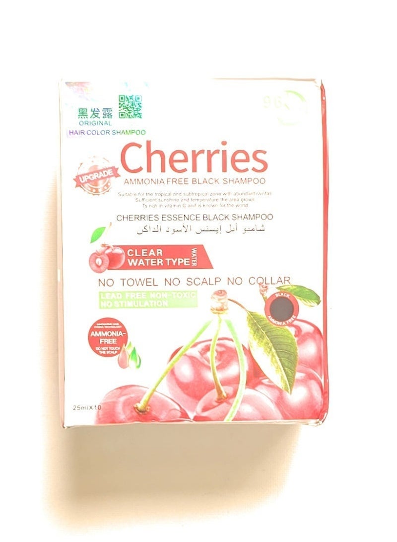 Ammonia-free Dye Shampoo black Color Sachet pack of 25ml x 10 - Image 3