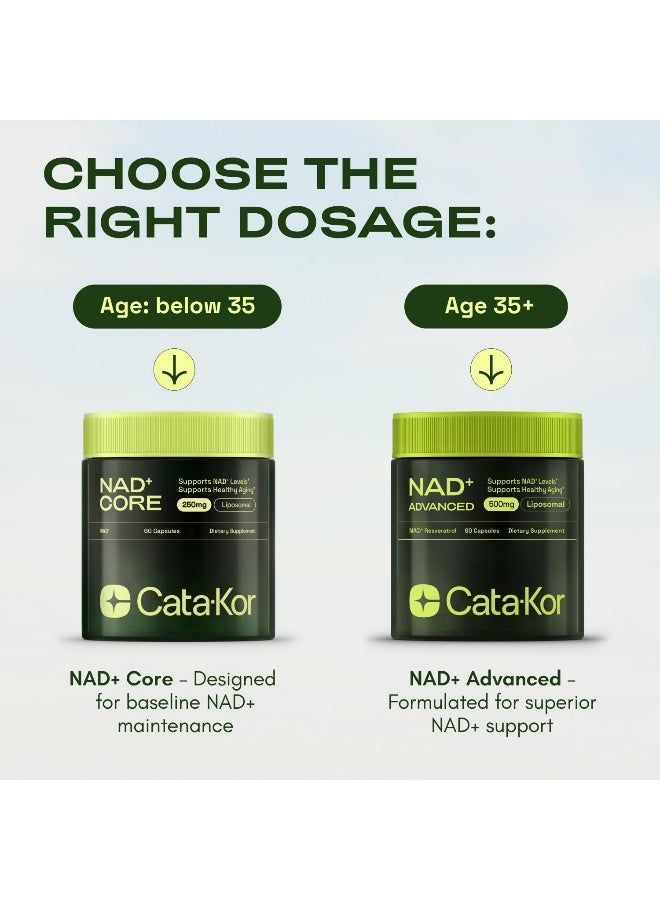 Cata-Kor Nmnh Supplement Alternative - Liposomal Nad Core Liponad 250Mg - 90-Day Supply - Pack Of 3 - High Purity Nad Supplement For Anti-Aging, Energy, Focus - 60 Capsules - Image 4