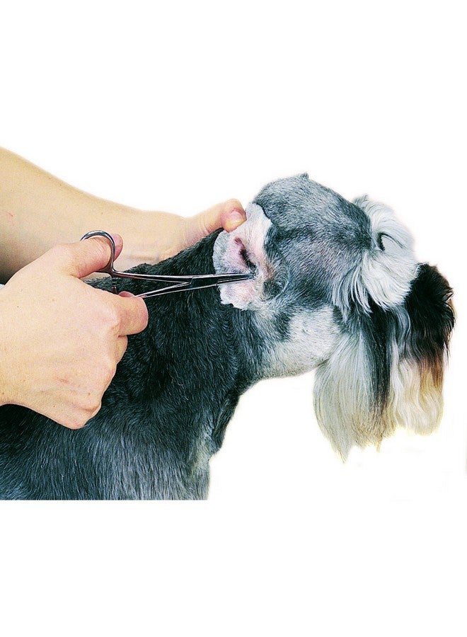 Top Performance ProEar Professional Ear Powde, 28gm - Image 1