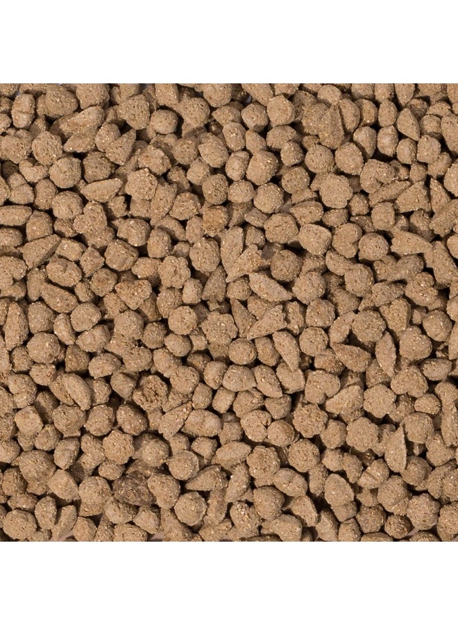 بيفار طعام الأرانب كير+ 1.5 كجم - Image 2