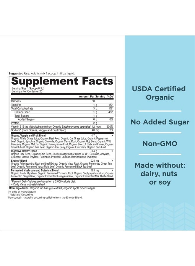 Ancient Nutrition Ancient SuperGreens Energizer Pwdr - Image 2