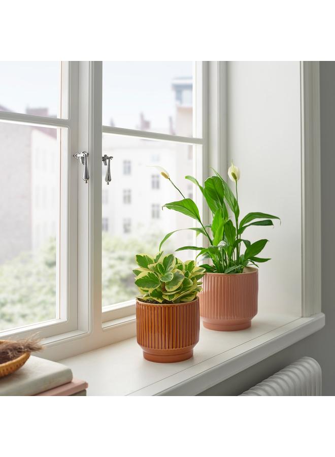 زبون وعاء نباتات، داخلي/خارجي/بني، 12 سم - Image 2