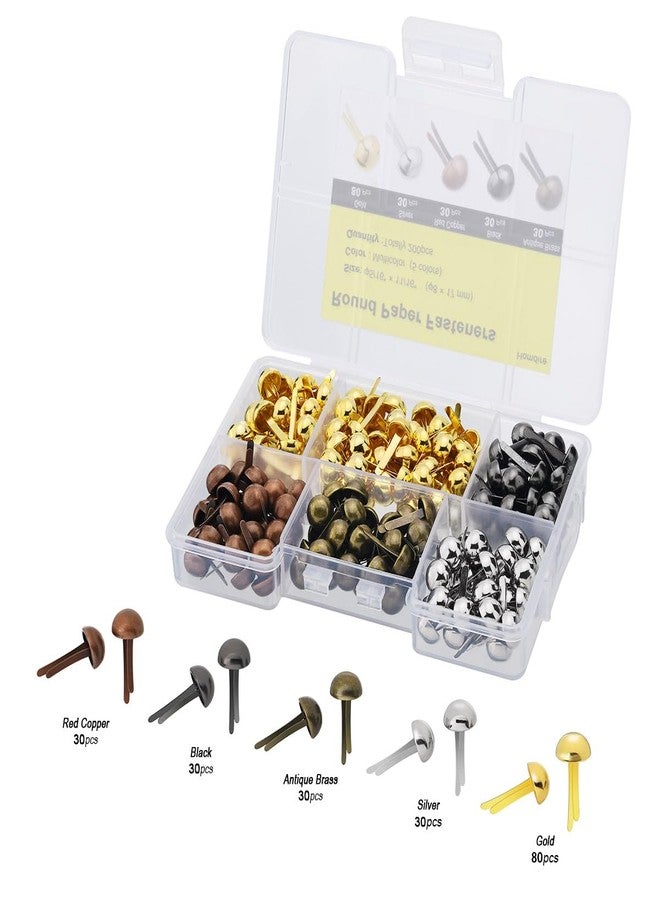 Homdire Brads for Paper Crafts, 200pcs Multicolor Metal Paper Fasteners, 8x17mm Fasteners for Crafts, Paper Brads, Round Head Fasteners, Split Pin - Image 2