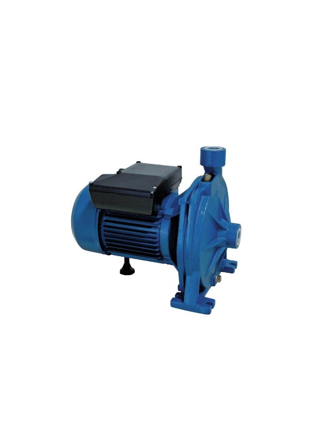 Reef ITALY-ALFA Electric Water Pump (1 HP) – ITY-ALP02 - Image 1