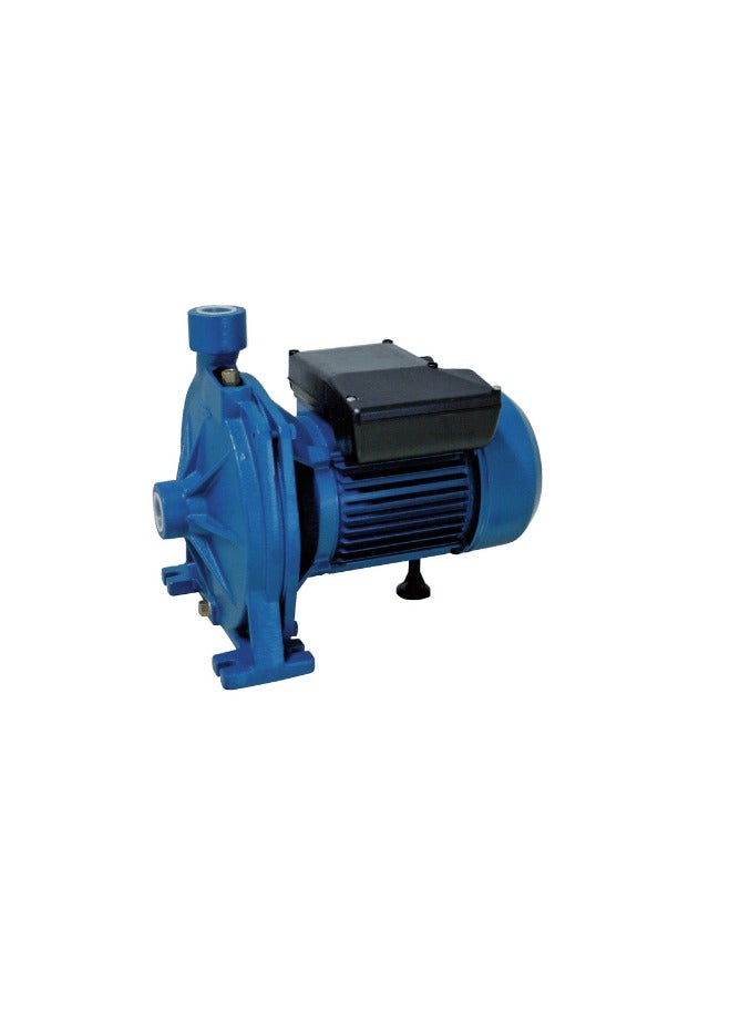 Reef ITALY-ALFA Electric Water Pump (1 HP) – ITY-ALP02 - Image 2