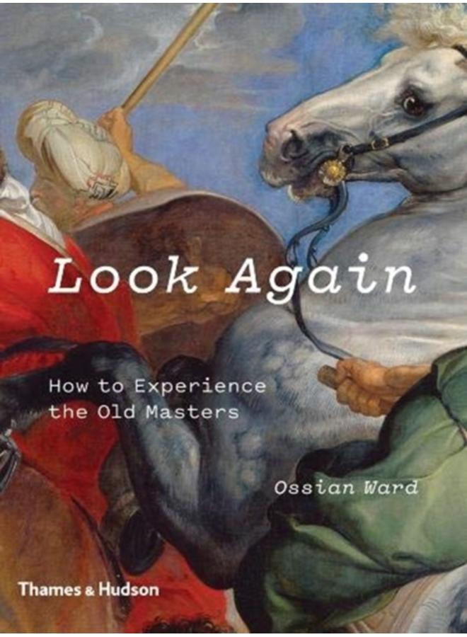 Look Again : How to Experience the Old Masters 