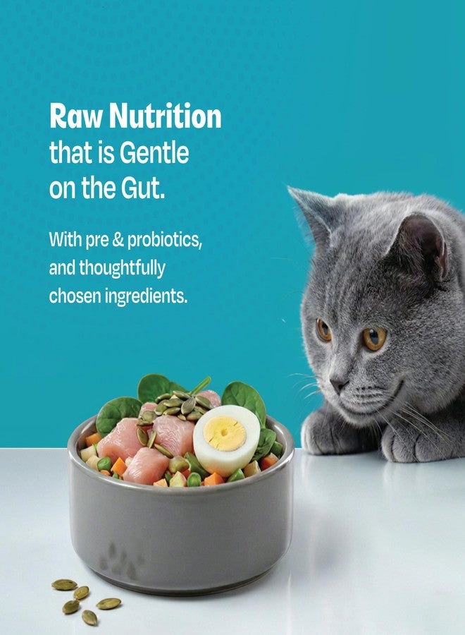 Right4Paws Raw Cat Wet Food - 85g x 3 | Complete Whole-Food Meal | Chicken, Buffalo & Egg | Grain-Free, No Preservatives | Probiotics | All Breeds & Ages (Pack of 3) - Image 5