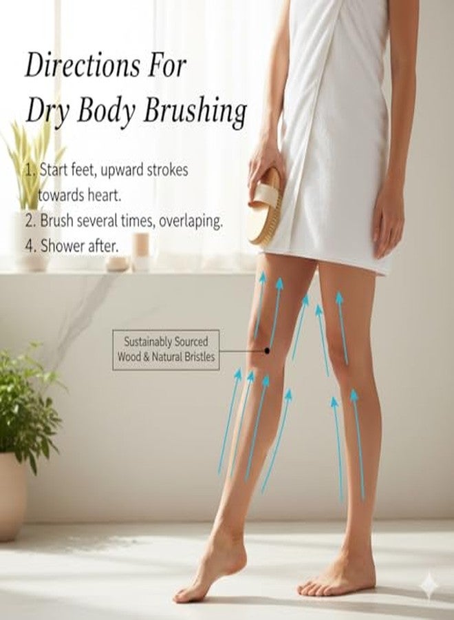 استاب فرشاة استحمام جافة بيضاوية مقشرة من إيتساب | لتصريف اللمف ومظهر السيلوليت | تزيل خلايا الجلد الميتة وتمنع نمو الشعر تحت الجلد | فرشاة استحمام خشبية بشعيرات طبيعية | (وحدة واحدة) - Image 4