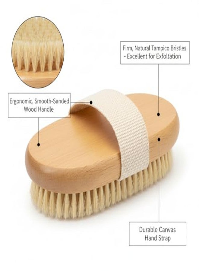 استاب فرشاة استحمام جافة بيضاوية مقشرة من إيتساب | لتصريف اللمف ومظهر السيلوليت | تزيل خلايا الجلد الميتة وتمنع نمو الشعر تحت الجلد | فرشاة استحمام خشبية بشعيرات طبيعية | (وحدة واحدة) - Image 5