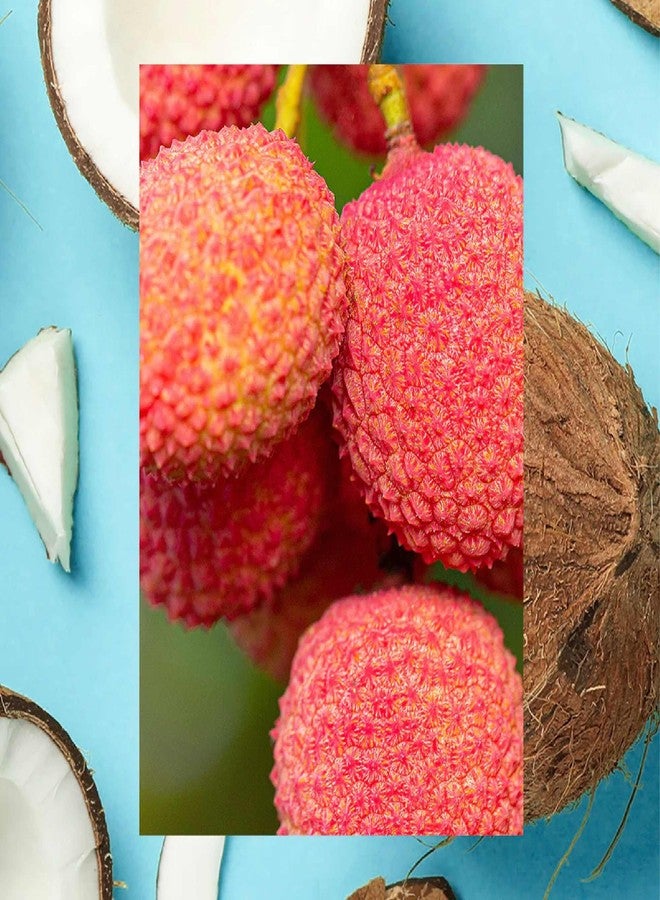 RAW SUGAR Lychee Coconut Milk Wave Maker Conditioner by RawSugar - Image 3