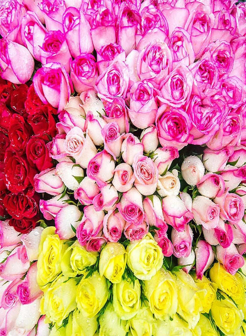 GGOOT 100pcs Mix Rose Seeds for Gardening Landscape Planting Easy to Maintain Suitable for Anyone Who Wants to Plant Add Color to Your Garden - Image 1