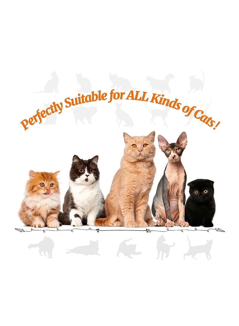 MissTiara 24 قطعة من ألعاب القطط، ألعاب القطط الصغيرة، ألعاب القطط التفاعلية للقطط الداخلية، نفق القطط، عصا تشويق متنوعة مع ريش، ألعاب القطط للقطط الصغيرة، سمكة النعناع البري، الفئران، الكرات لمحبي الحيوانات الأليفة القطط - Image 4