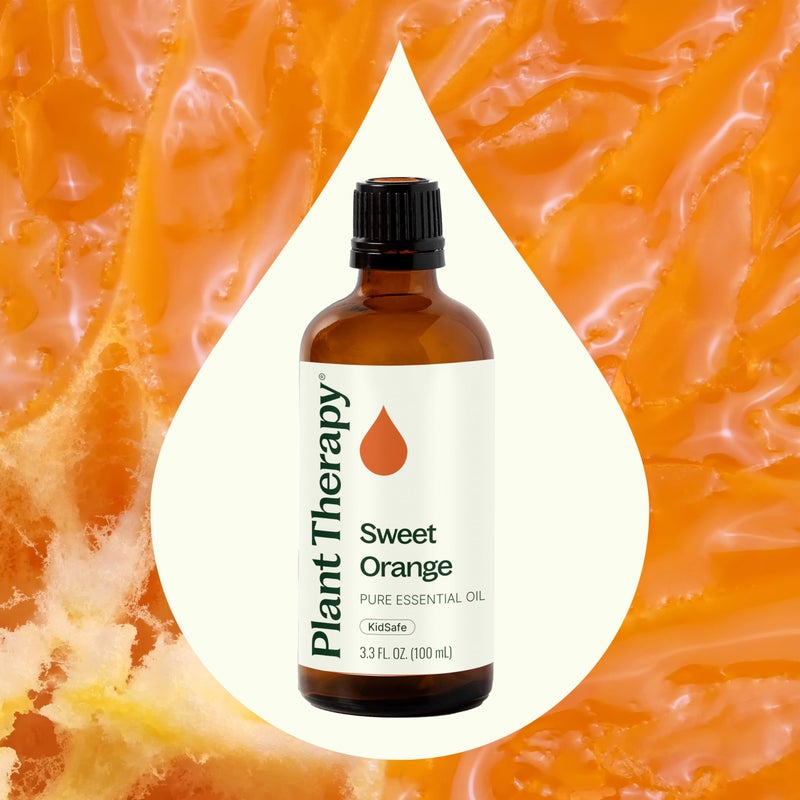 Plant Therapy Sweet Orange Essential Oil 100% Pure, Undiluted, Natural Aromatherapy, Therapeutic Grade 100 mL (3.3 oz) - Image 3