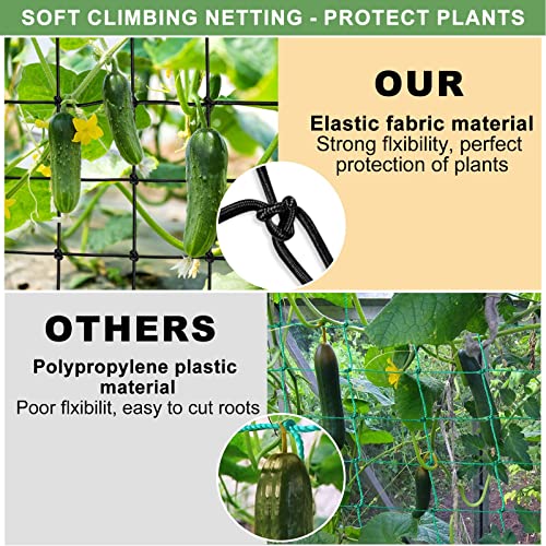 BSTPCOO 2x4 Trellis Net for Grow Tent, Stretchy Scrog Net Heavy Duty Trellis Netting with Hooks for Climbing Plants Outdoor Indoor Plant Growing Tents, Cucumber Trellis Netting Support for Garden - Image 4
