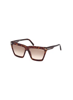 TOM FORD Women's Acetate Sunglasses FT111052F56 Lens Size: 56 Millimeter - Dark Havana  - Image 1