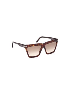 TOM FORD Women's Acetate Sunglasses FT111052F56 Lens Size: 56 Millimeter - Dark Havana  - Image 3