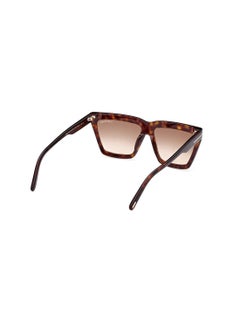 Women's Acetate Sunglasses FT111052F56 Lens Size: 56 Millimeter - Dark Havana - pzsku/Z93D8FE6450F45107FFFDZ/45/_/1727713396/b4c702e7-039a-49ad-bb8a-b08018cca4e1