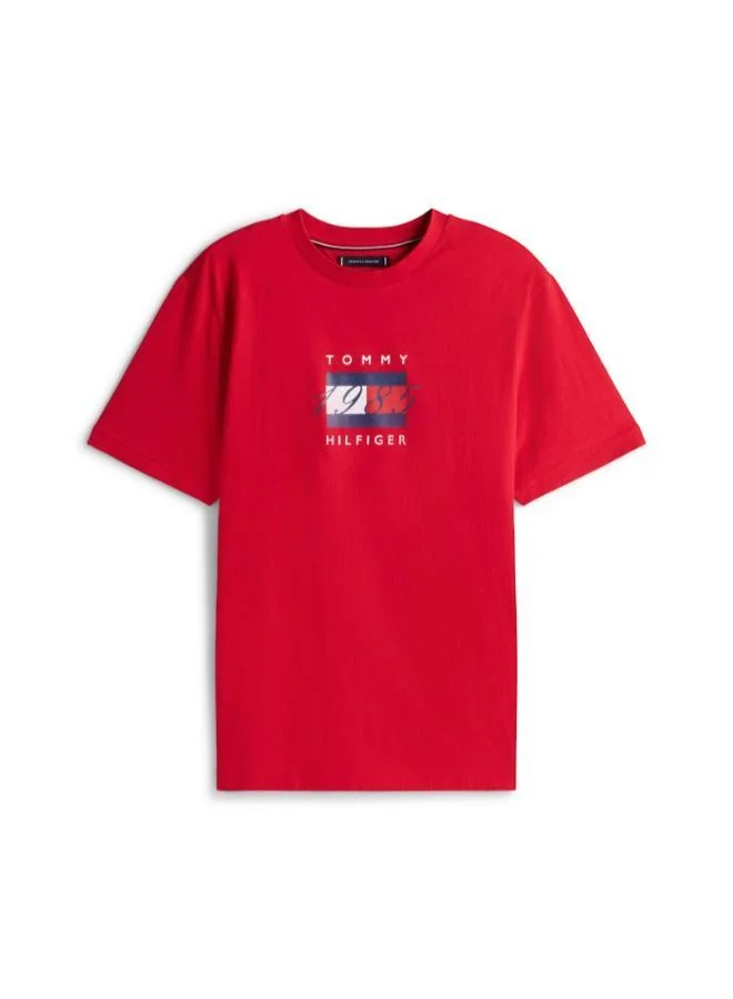 TOMMY HILFIGER Flag Graphic Jersey T-Shirt