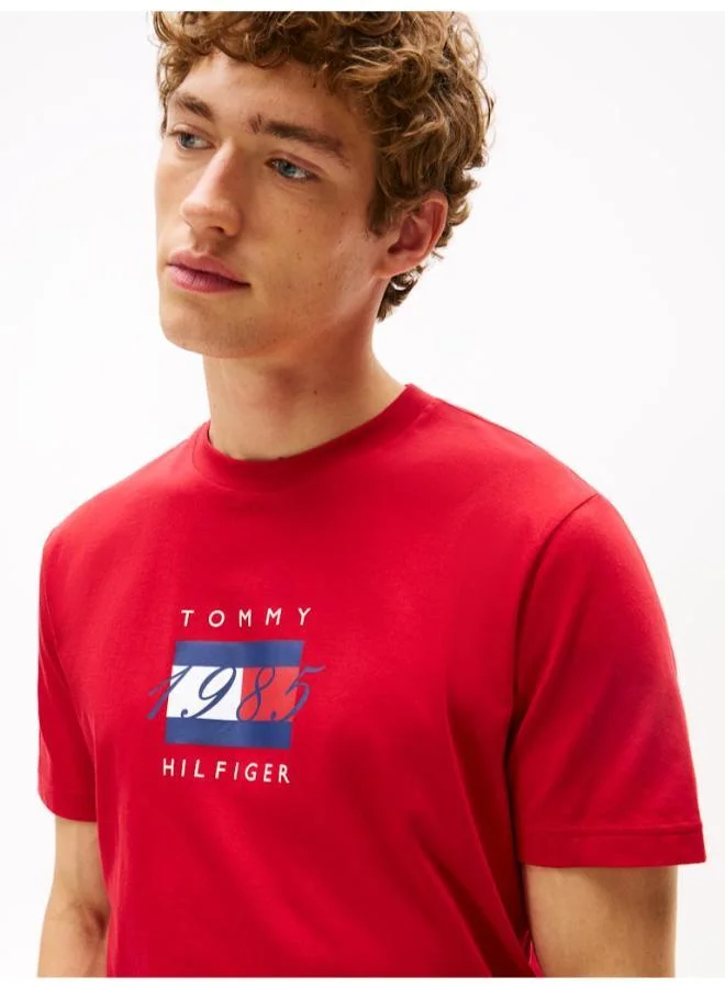 TOMMY HILFIGER Flag Graphic Jersey T-Shirt