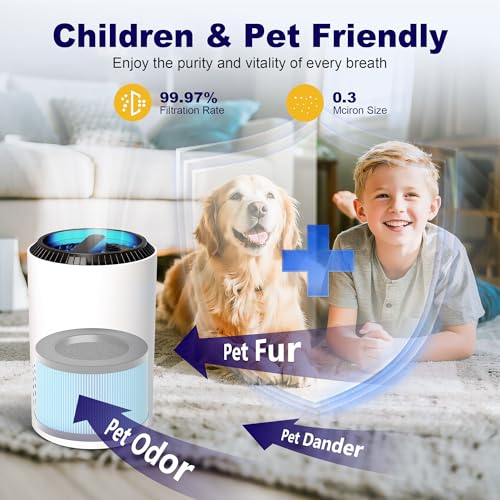 PETOX MK01 & MK06 True HEPA Filter Replacement Compatible with Aroeve MK01, MK06, ToLife TZ-K1 and Kloudi DH-JH01 Air Purifier, Standard Version, Blue, 2 Pack - Image 5
