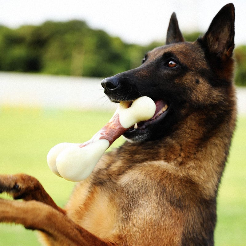 Tikaton Indestructible Dog Chew Toys for Aggressive Chewers, Beef Flavor Durable Dog Teething Chew Toys Bones for Large/Medium/Small Puppies - Image 5