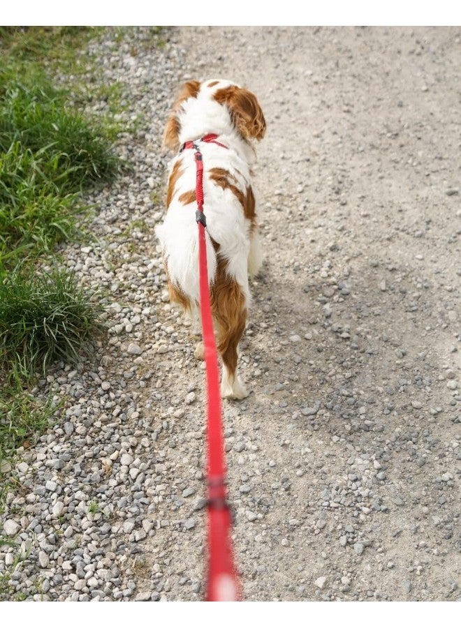 إيزي دوج مقود الكلاب EzyDog Zero Shock LITE - مقود مطاطي ممتص للصدمات للكلاب التي تسحب أو تثير - مقبض مزدوج وعاكس للكلاب المتوسطة أو الصغيرة (48 بوصة، وردي) - Image 5