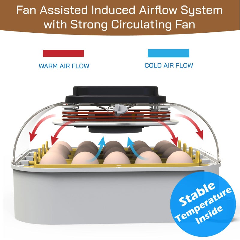 MATICOOPX 20 Egg Incubator with Humidity Display, Egg Candler, Automatic Egg Turner, for Hatching Chickens - Image 2