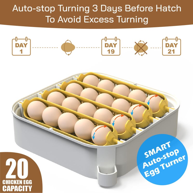 MATICOOPX 20 Egg Incubator with Humidity Display, Egg Candler, Automatic Egg Turner, for Hatching Chickens - Image 5