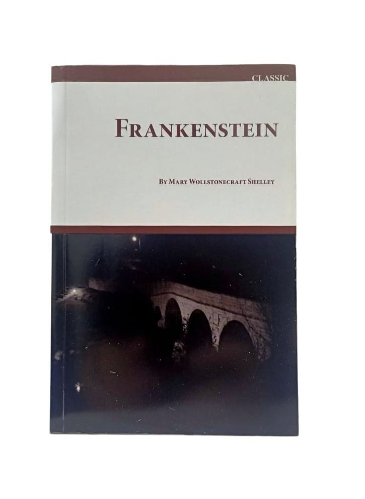 BOOK FRANKENSTEIN  - Image 3