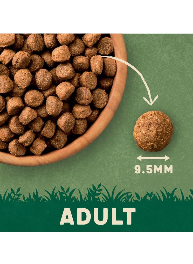 HARRINGTONS Complete Salmon & Potato Adult Dry Dog Food 12kg - Image 3