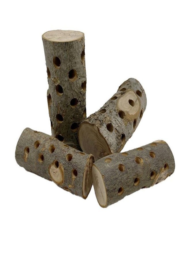 TANOMA Apple Wood, Small Animals Cage Accessories, Molar Wood Chew Treats Toys for Rabbits, Hamster, Guinea Pig, Chinchillas, Gerbils, Mice, Rats, Mouse, Bunny - Image 4