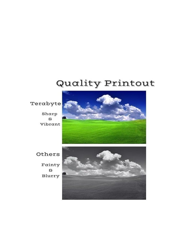 Terabyte Compatible Toner Cartridge Replacement for Samsung 504S CLT-K504S CLT-504S CLT-M504S CLT-C504S CLT-Y504S to Use With CLX-4195 4195FW 4195N 4195FW CLP 415N 415NW SL C1810W C1860FW printer - Image 3