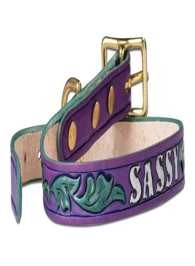 تاندي ليذر طقم طوق جلدي للكلاب من تاندي ليذر