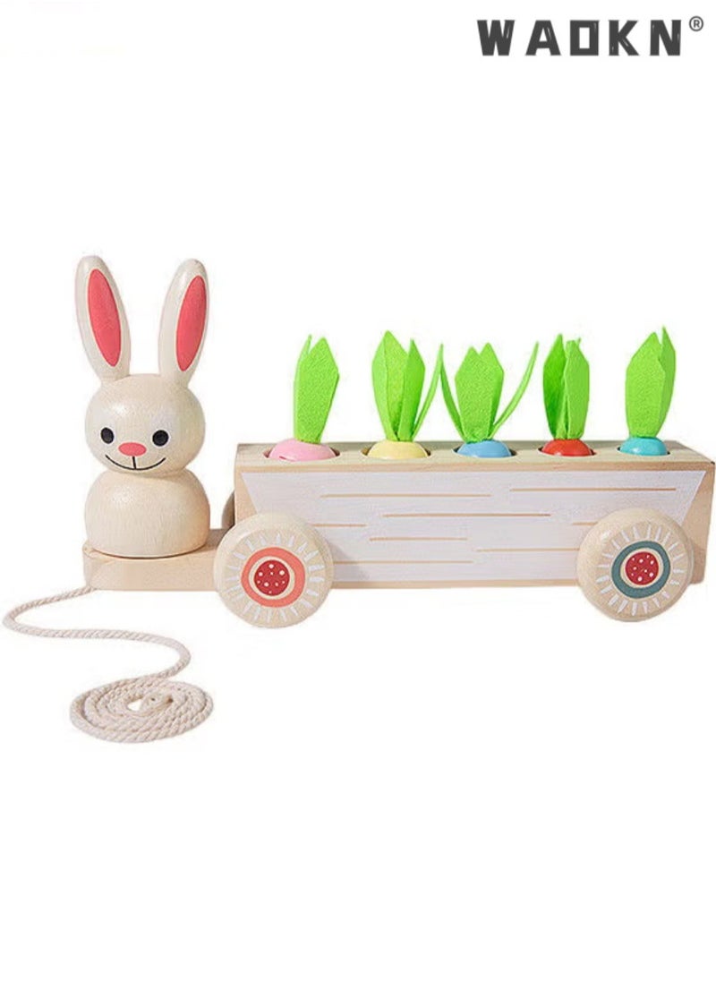 WAOKN Toddlers Montessori Wooden Educational Toys for Baby Boys Girls,Wooden Rabbit Pull Cart Farm Toy with Removeable Vegetables for Toddlers,Kids Montessori Easter Bunny Shape Sorting Car(Carrot)  - Image 1