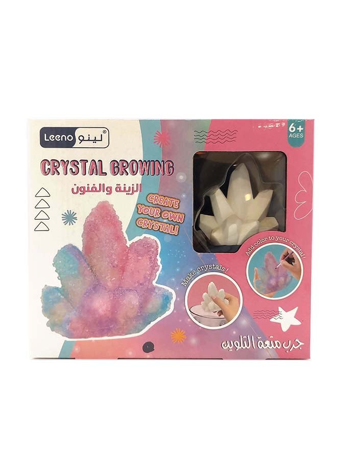 LEENO طقم نمو الكريستال