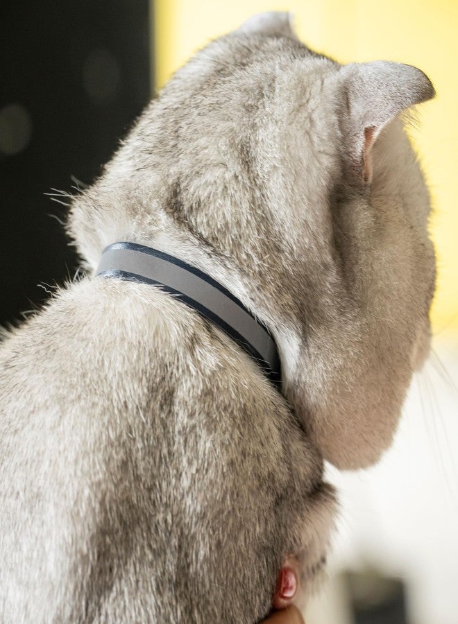 Filbert Leather Cat Collar, Reflective Cat Collar, Leather Accessories with Bell, Bird Warning, Suitable for Indoor and Outdoor, Non Breakaway, Durable, Stylish Design, Red - Image 2