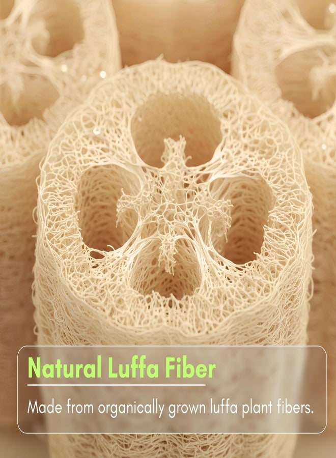 ORRIC Natural Loofah short (4"-5") Scrub Sponge | Natural Body Scrubber for Bathing | Organic Ridge Gourd Fiber Natural sun dried bath Loofah | Peerkangai naaru | Turai Beerakaya Hirekai (Pack of 3) - Image 5