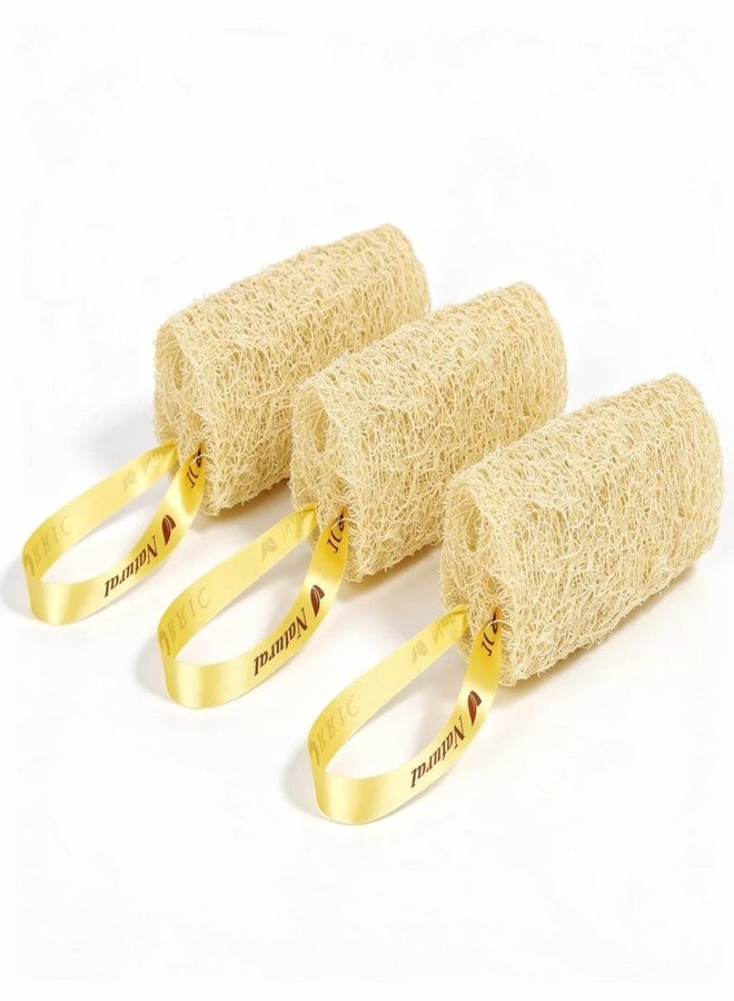 ORRIC Natural Loofah short (4"-5") Scrub Sponge | Natural Body Scrubber for Bathing | Organic Ridge Gourd Fiber Natural sun dried bath Loofah | Peerkangai naaru | Turai Beerakaya Hirekai (Pack of 3) - Image 1
