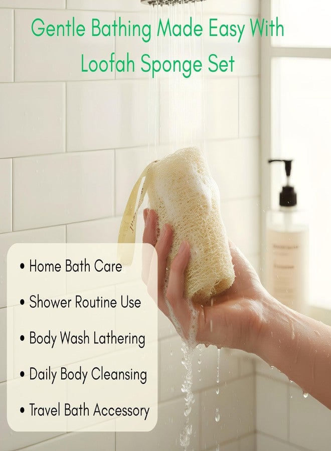 ORRIC Natural Loofah short (4"-5") Scrub Sponge | Natural Body Scrubber for Bathing | Organic Ridge Gourd Fiber Natural sun dried bath Loofah | Peerkangai naaru | Turai Beerakaya Hirekai (Pack of 3) - Image 2