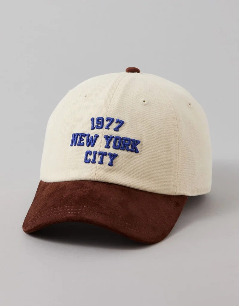 AE Suede Baseball Hat