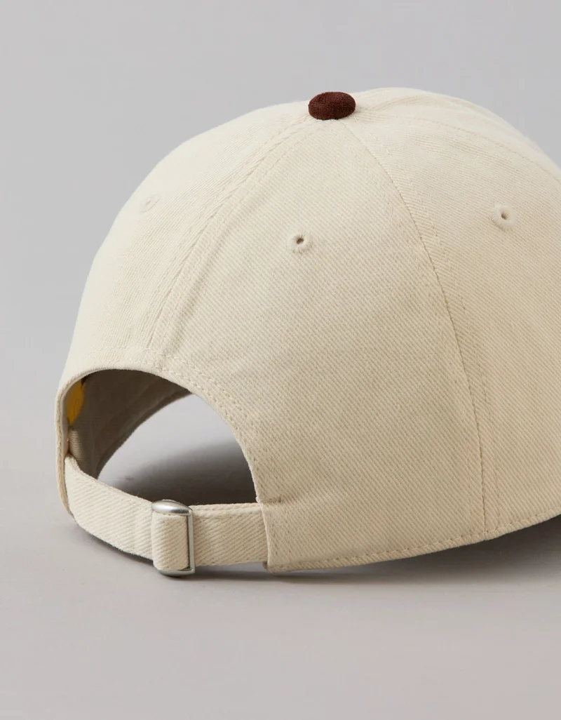 American Eagle  AE Suede Baseball Hat  | Best Price UAE