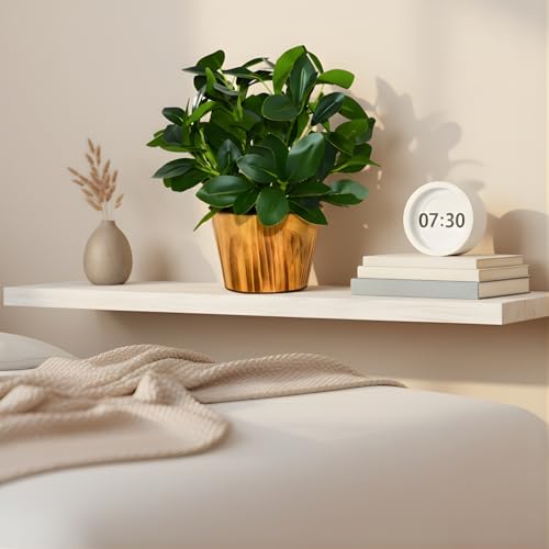 fancymart Artificial Plant Leaves in Wooden Pot Perfect Potted Decoration for Home Living Room & Office Spaces Décor Height - 26cm - Image 4