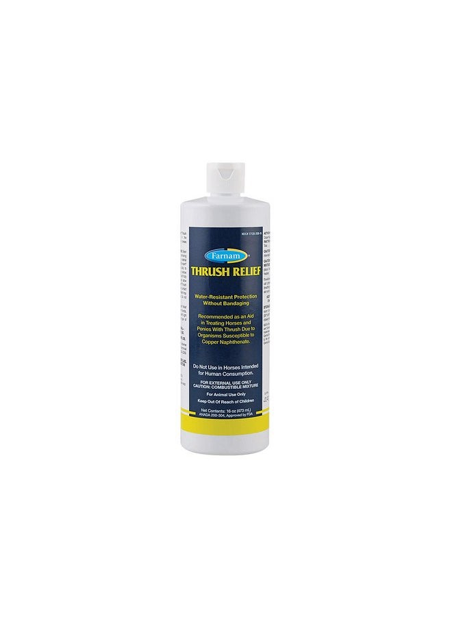 Farnam Farnam Thrush Relief Thrush Treatment Aid in Horses and Ponies Brown 16 Ounces 