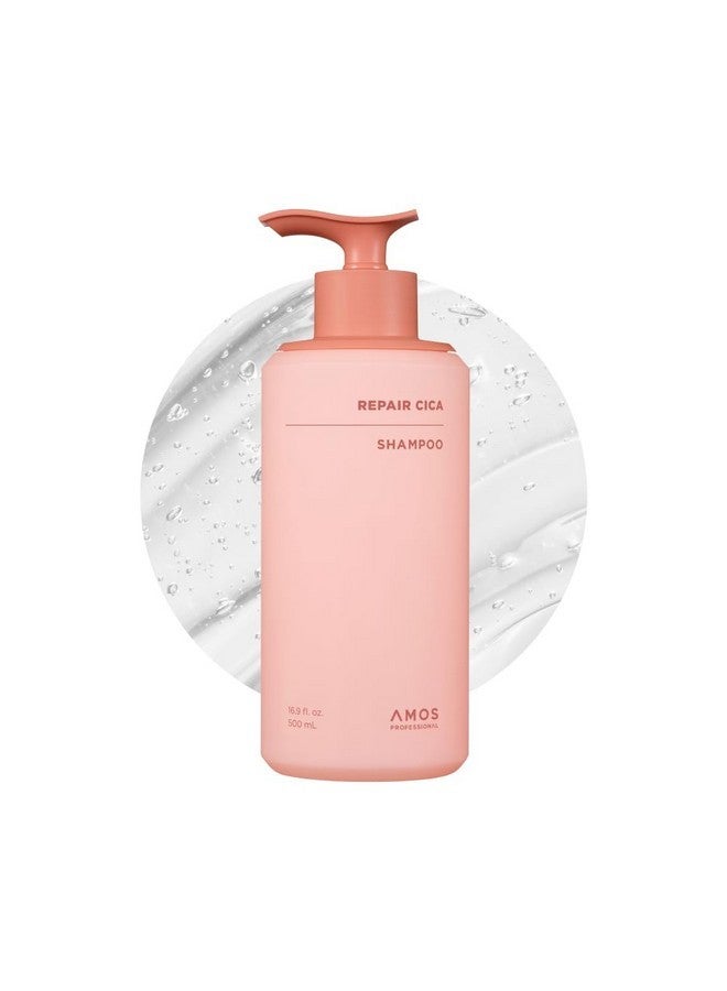 أموس بروفيشنال شامبو سيكا لإصلاح الشعر من آموس بروفيشنال، يُصلح ويقوي ويغذي أطراف الشعر المتقصفة والمتكسرة، ويعالج تلف الشعر الناتج عن التبييض والصبغة والمواد الكيميائية، 16.9 أونصة سائلة - Image 1