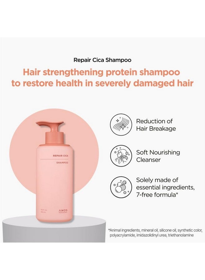 أموس بروفيشنال شامبو سيكا لإصلاح الشعر من آموس بروفيشنال، يُصلح ويقوي ويغذي أطراف الشعر المتقصفة والمتكسرة، ويعالج تلف الشعر الناتج عن التبييض والصبغة والمواد الكيميائية، 16.9 أونصة سائلة - Image 2
