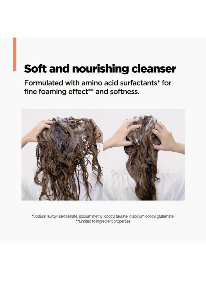 أموس بروفيشنال شامبو سيكا لإصلاح الشعر من آموس بروفيشنال، يُصلح ويقوي ويغذي أطراف الشعر المتقصفة والمتكسرة، ويعالج تلف الشعر الناتج عن التبييض والصبغة والمواد الكيميائية، 16.9 أونصة سائلة - Image 5