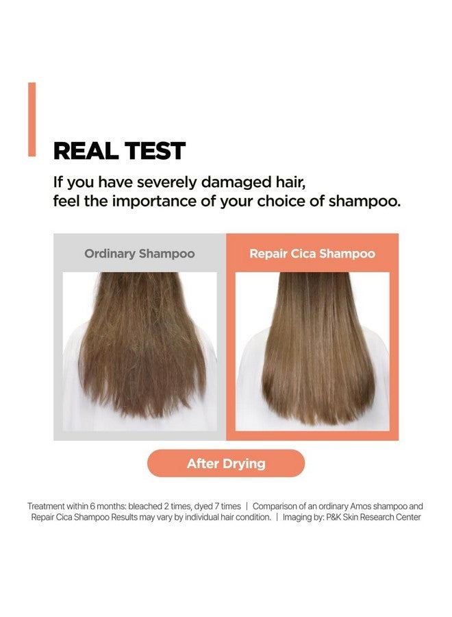 أموس بروفيشنال شامبو سيكا لإصلاح الشعر من آموس بروفيشنال، يُصلح ويقوي ويغذي أطراف الشعر المتقصفة والمتكسرة، ويعالج تلف الشعر الناتج عن التبييض والصبغة والمواد الكيميائية، 16.9 أونصة سائلة - Image 3