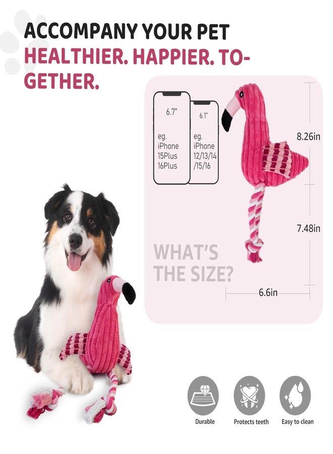 IPTPAS Squeaky Dog Toys - Plush Dog Toys with Soft Durable Fabric for Small Medium Large Breeds, Interactive Tug of War Rope Chew Toys, Teeth Cleaning, Dental Care, and Keep Dogs Busy (Flamingo-Red) - Image 2