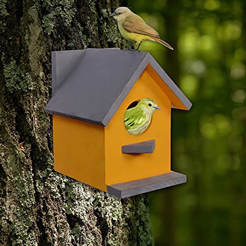 Cket Bird House for Balcony and Garden Hanging for Sparrow, Hummingbird, Kingfisher Bird Nest for Balcony Made with Water Resistant Wooden with Hanging and Wall Patch (Wooden-Yellow) (Pack of 1) - Image 5